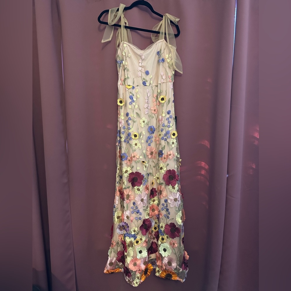 Thriving Poise Blush 3D Floral Embroidered Tie-Strap Maxi Dress - Picture 4 of 4
